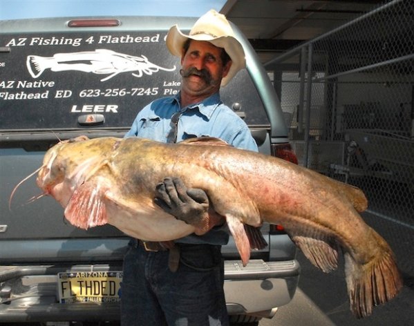 Flathead Ed holding his state records catfish he caught at Bartlett Lake