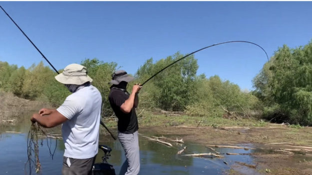 Alamo Lake – Froggin & Flippin