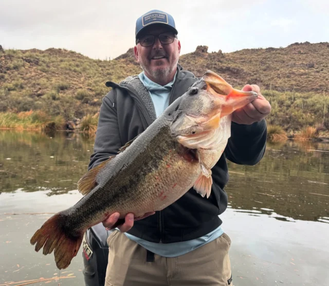 Pics from the most insane day of bass fishing I’ve ever been part of. Neil and Robert came out from Canada and hit up 5 different lakes with us. The last day was something special. They had 43lb and 12oz for their best 5 and had 2 Double Digits. Conditions were perfect and the stars were aligned perfectly for these two. It was a day they probably won’t experience ever again, hopefully I can’t say the same for myself. INCREDIBLE! 🎣 book your trips at www.fishin48.com @alphaanglerfishing and @daiwausa getting to done #fishaz #instafish #fishingarizona #bassderby #desertfishing #largemouth #bassfishing #bigbass #funfishing #instabass #bigfish #lunkers #arizonafishing #derbyday #bassaddict #eatsleepfish #guideAZ #liveonthewater #arizonabassfishing #tugisthedrug #basstournament #bigfishbullies #daiwausa#bassfishing #largemouthbass