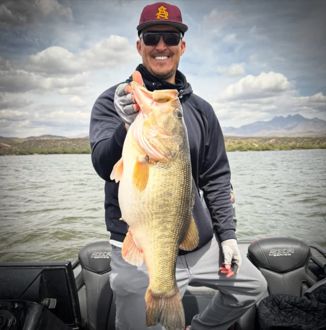 After a brutal 7 hours with only one fish we stumbled on a group of bigs on the way out and put 38lbs in the boat in about 45 min. 10lb 11oz kicker with a 9lb 9oz a few casts before. Book your trips today at www.fishin48.comCaught with @alphaanglerfishing @daiwausa and @sunline_america #fishaz #instafish #fishingarizona #bassderby #desertfishing #largemouth #bassfishing #bigbass #funfishing #instabass #bigfish #lunkers #arizonafishing #derbyday #bassaddict #eatsleepfish #guideAZ #liveonthewater #arizonabassfishing #tugisthedrug #basstournament #bigfishbullies #daiwausa#bassfishing #largemouthbass