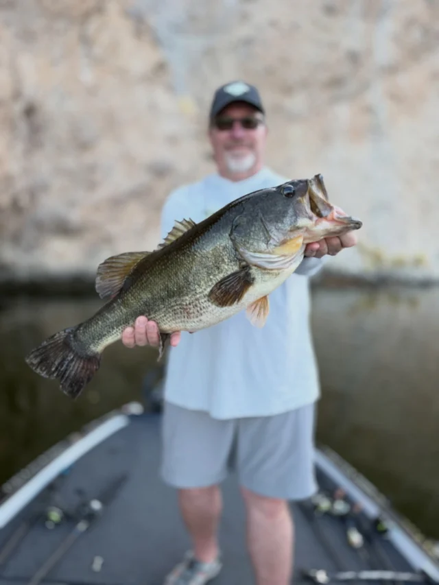 Alamo Lake Fishing | Arizona Guided Fishing Trips | Fishin48