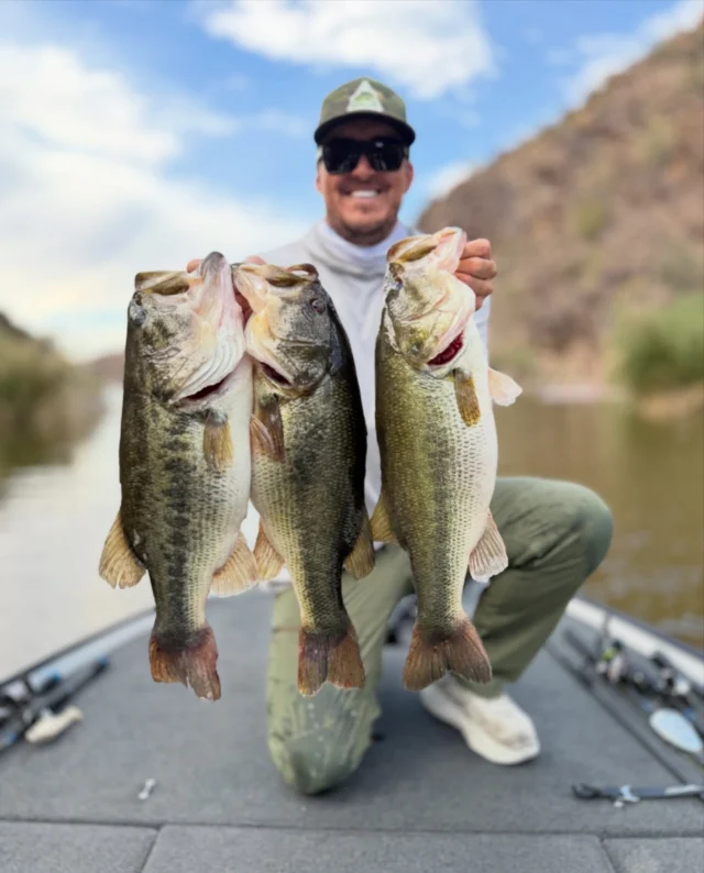 Alamo Lake Fishing | Arizona Guided Fishing Trips | Fishin48