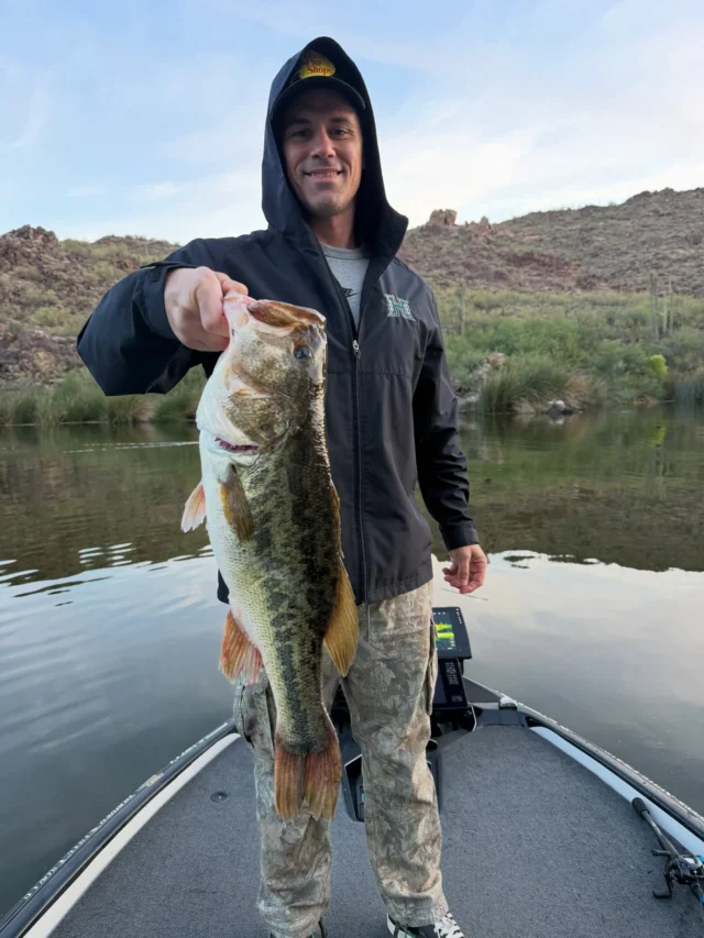 Alamo Lake Fishing | Arizona Guided Fishing Trips | Fishin48