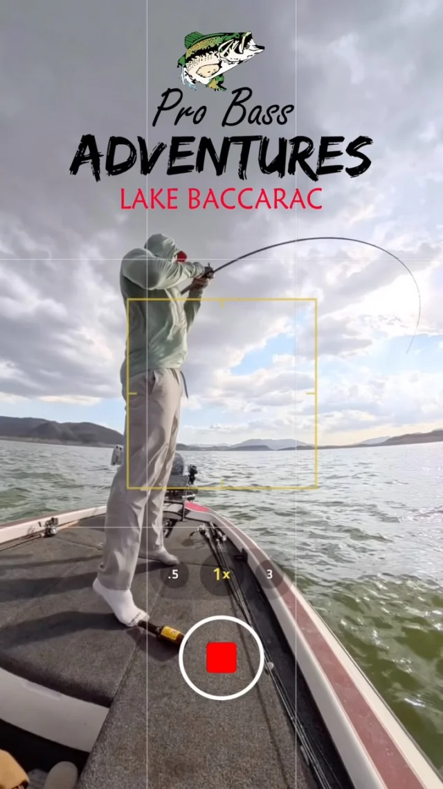 shakespeare ugly stik gx2 6 6 spinning combo Rod Ugly wont quit Color:Tiger Craw tag-ebf-wellness-self-care Product Review: Allen Kraken